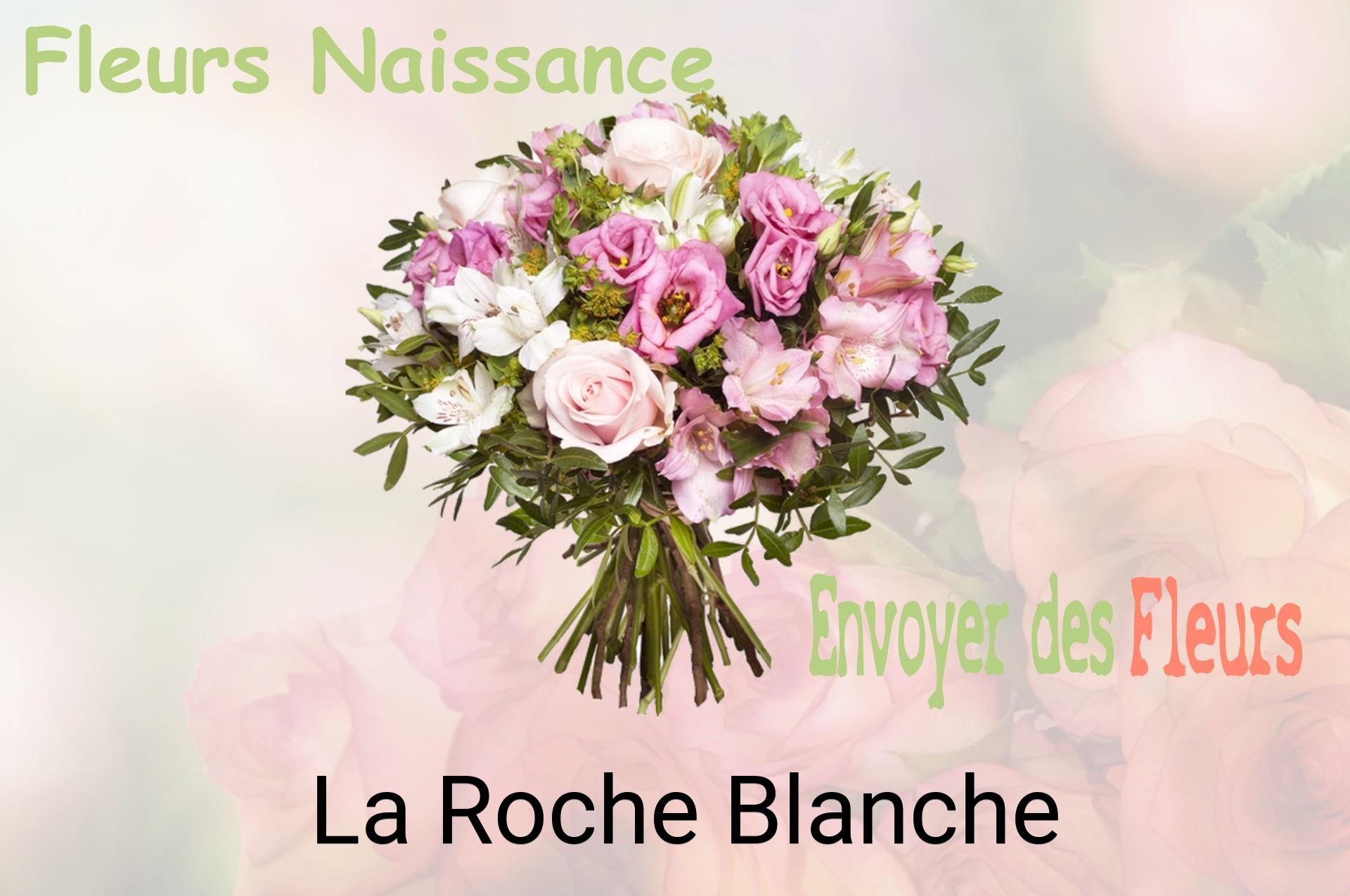 Bouquet de fleurs de naissance livré à La Roche-Blanche